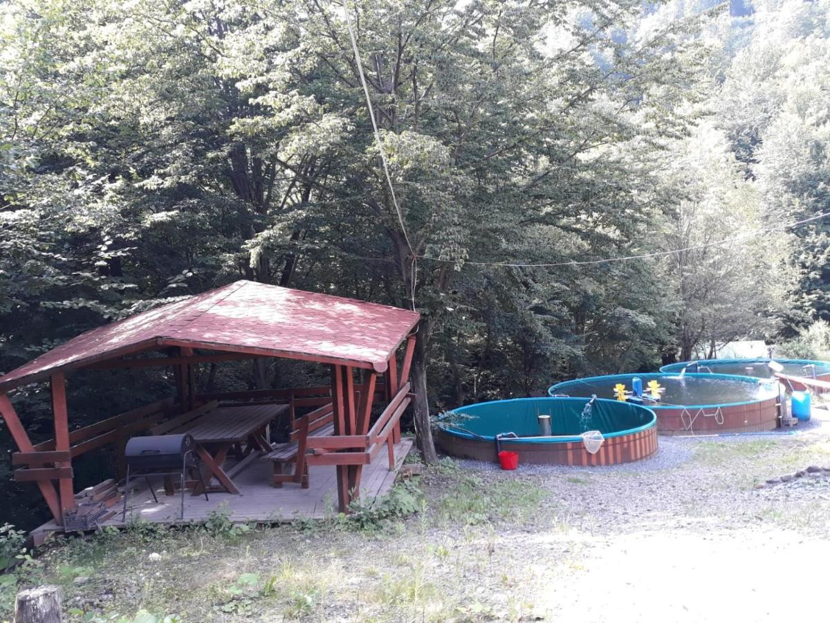 Cabana Alpha Baia Mare Exterior photo