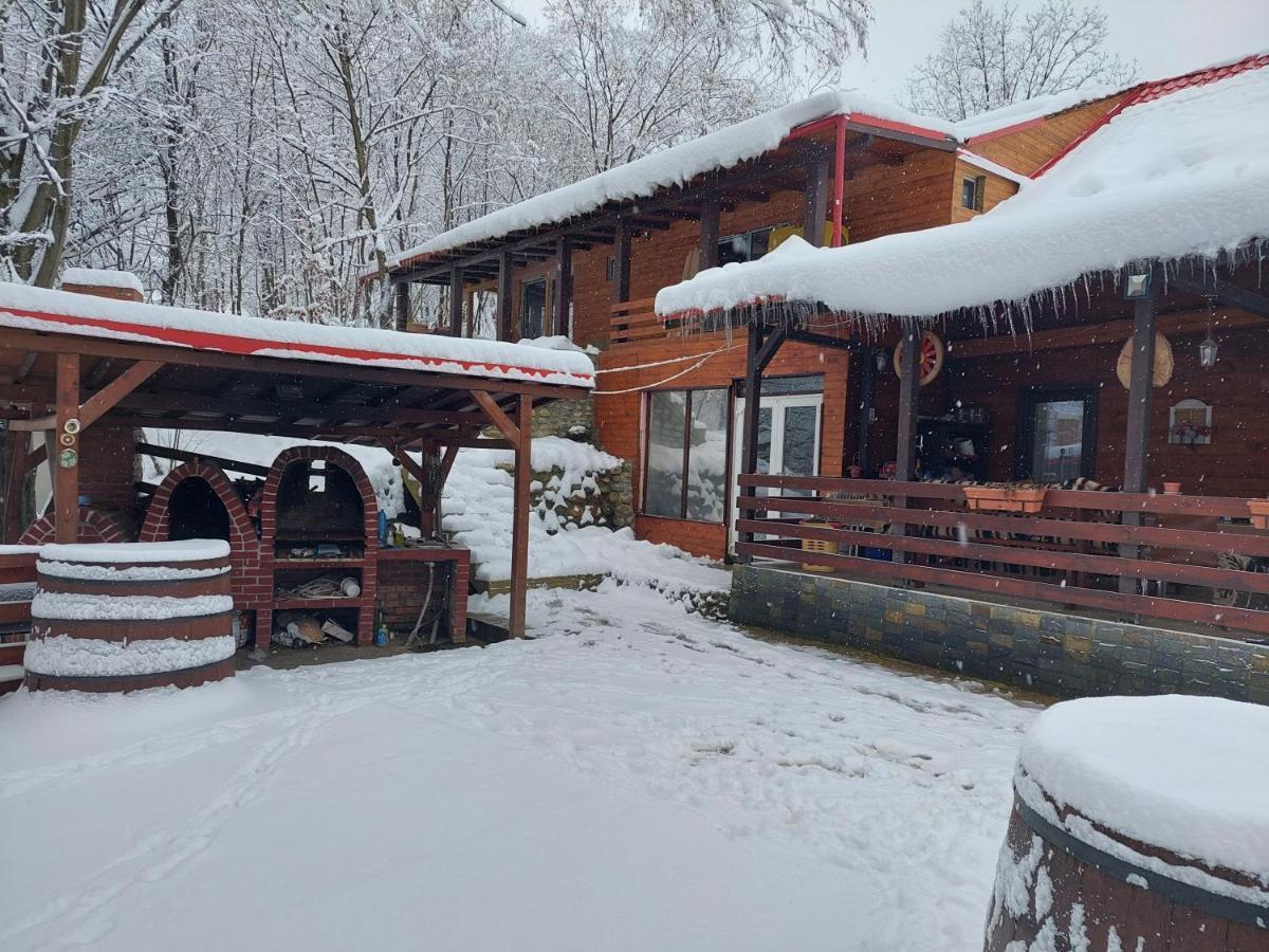 Cabana Alpha Baia Mare Exterior photo