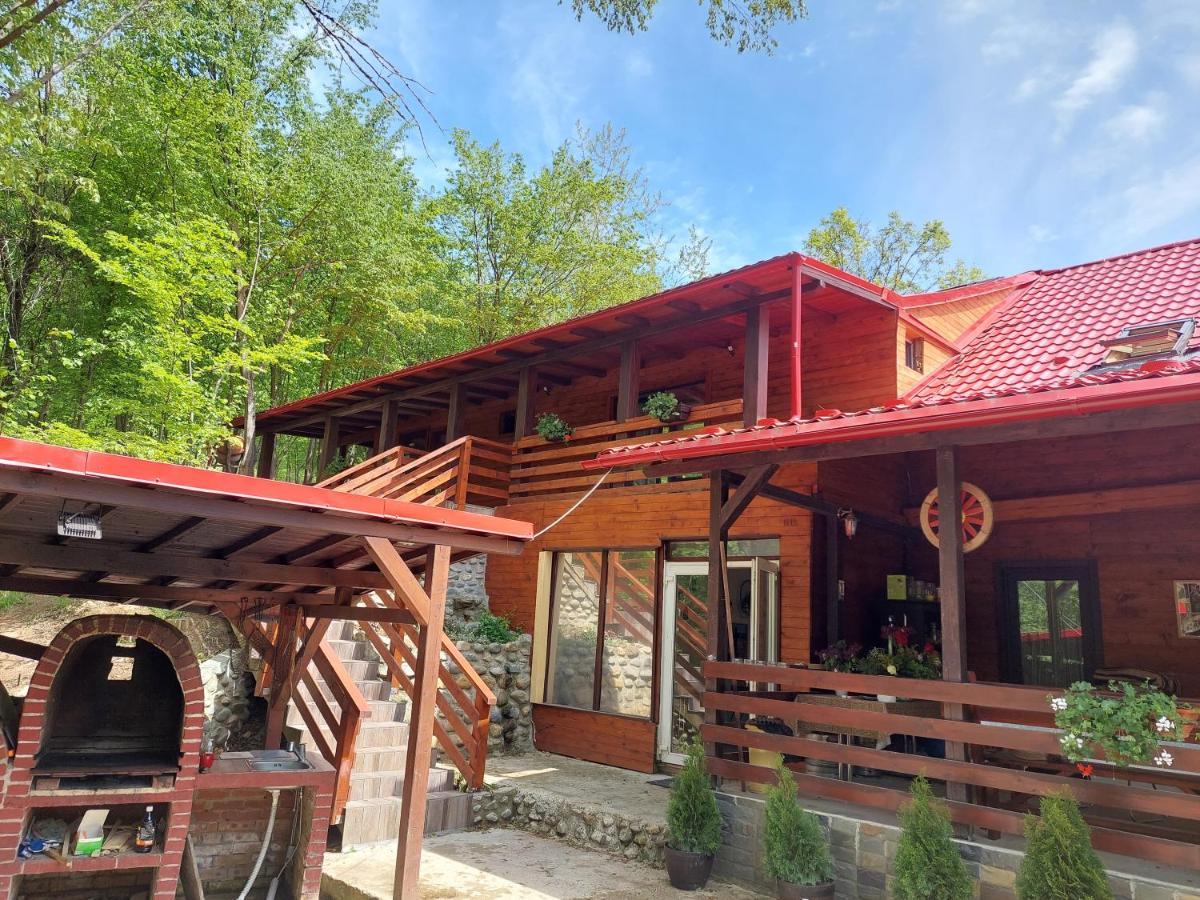 Cabana Alpha Baia Mare Exterior photo